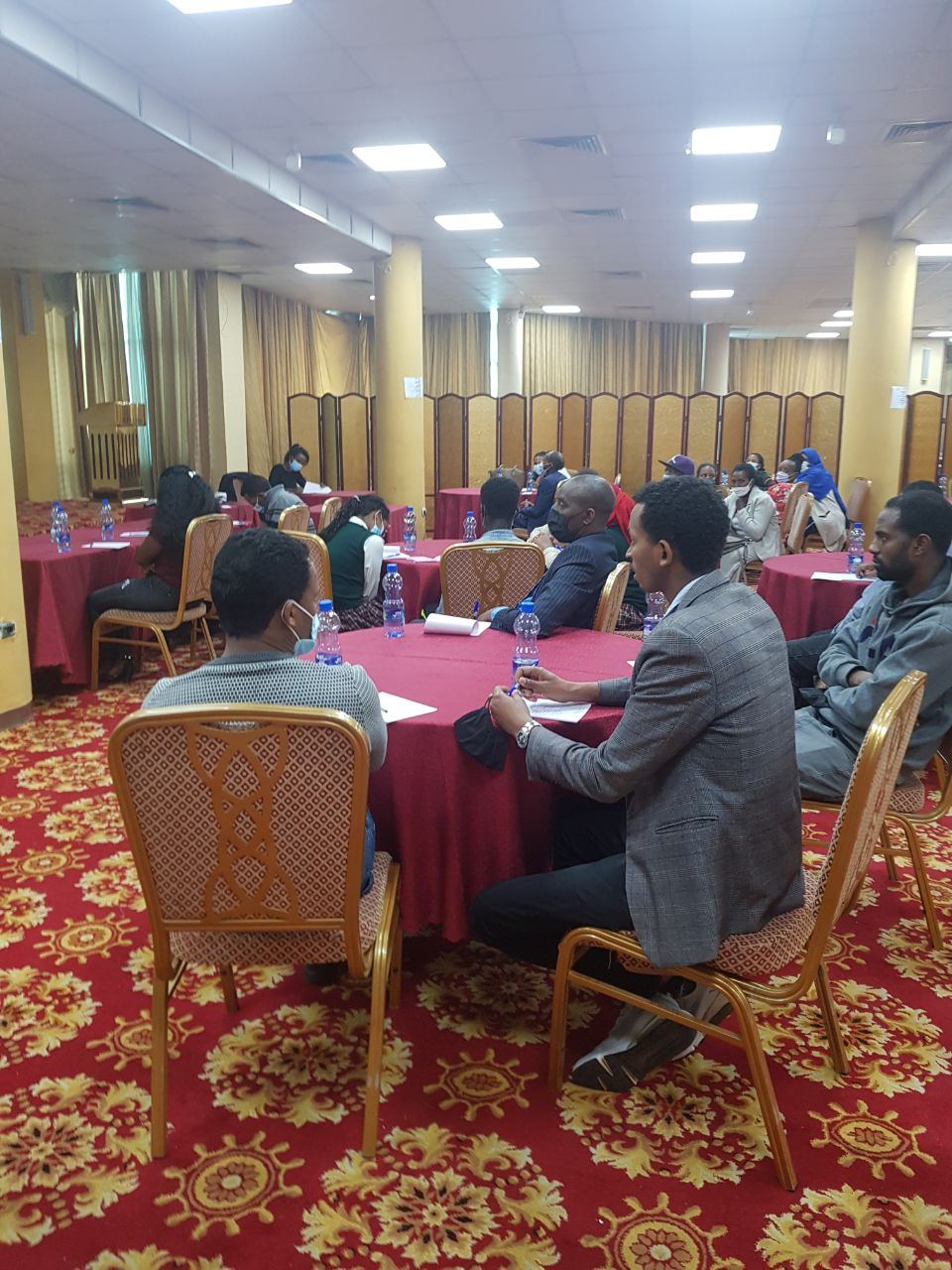 Stakeholder Panel Discussion on Sexual Violence and COVID-19 Prevention photo 15