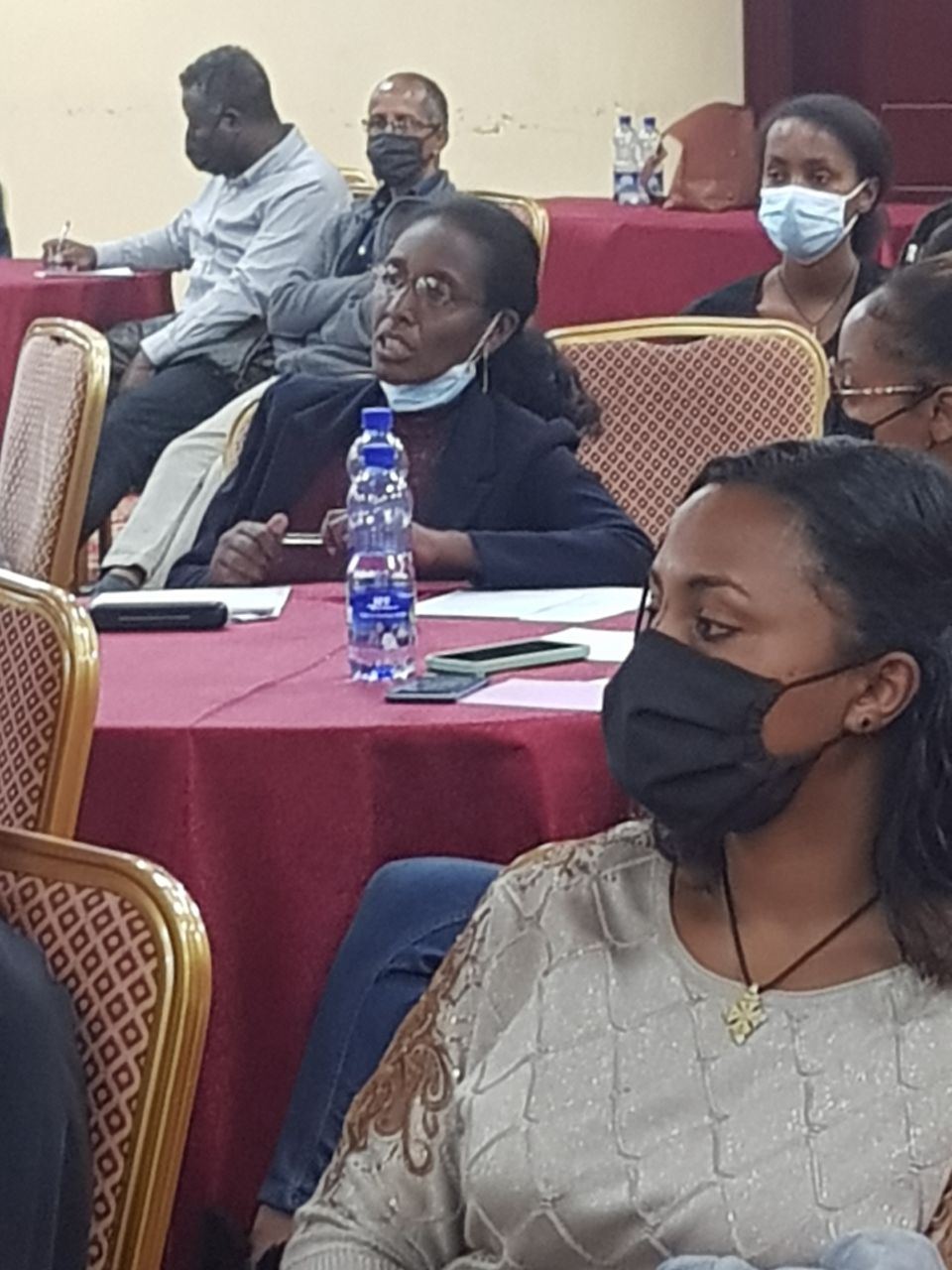 Stakeholder Panel Discussion on Sexual Violence and COVID-19 Prevention photo 23