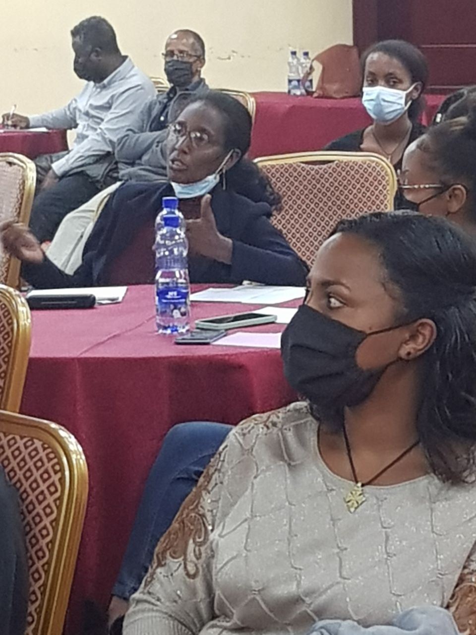 Stakeholder Panel Discussion on Sexual Violence and COVID-19 Prevention photo 22