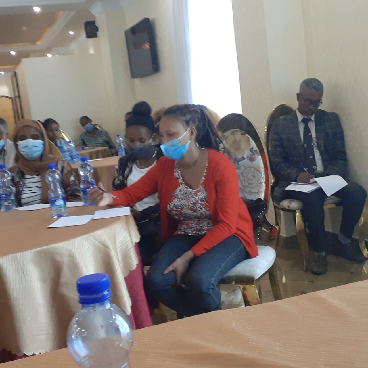 Panel Discussion Reviews Achievements and Challenges of SGBV Prevention Project photo 8