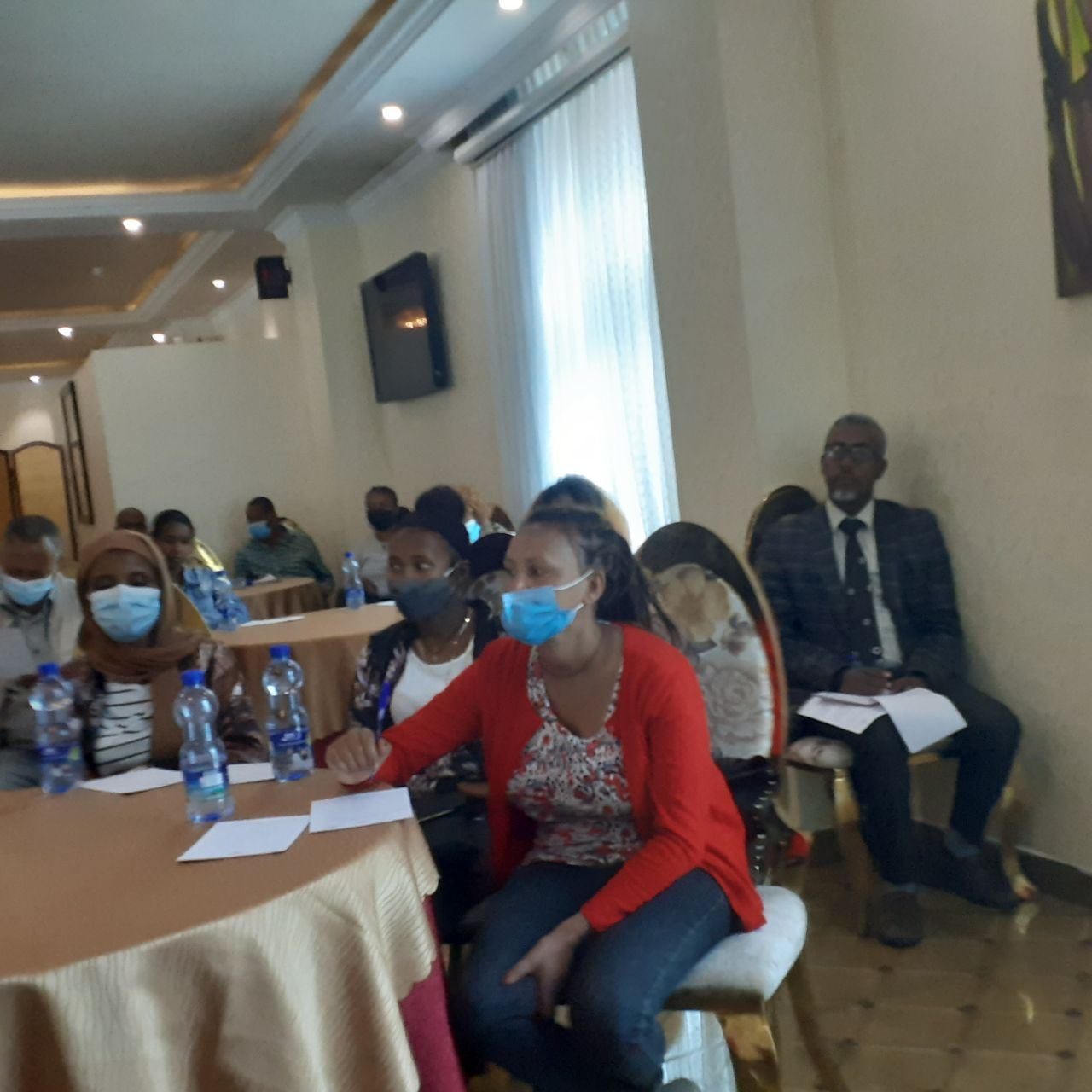 Panel Discussion Reviews Achievements and Challenges of SGBV Prevention Project photo 10