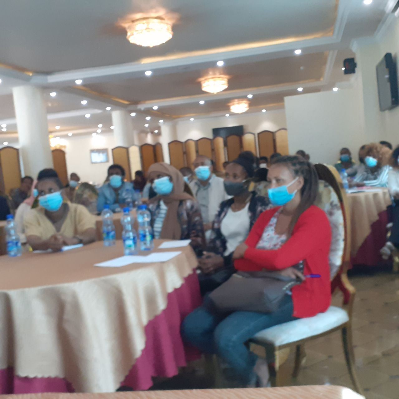 Panel Discussion Reviews Achievements and Challenges of SGBV Prevention Project photo 1
