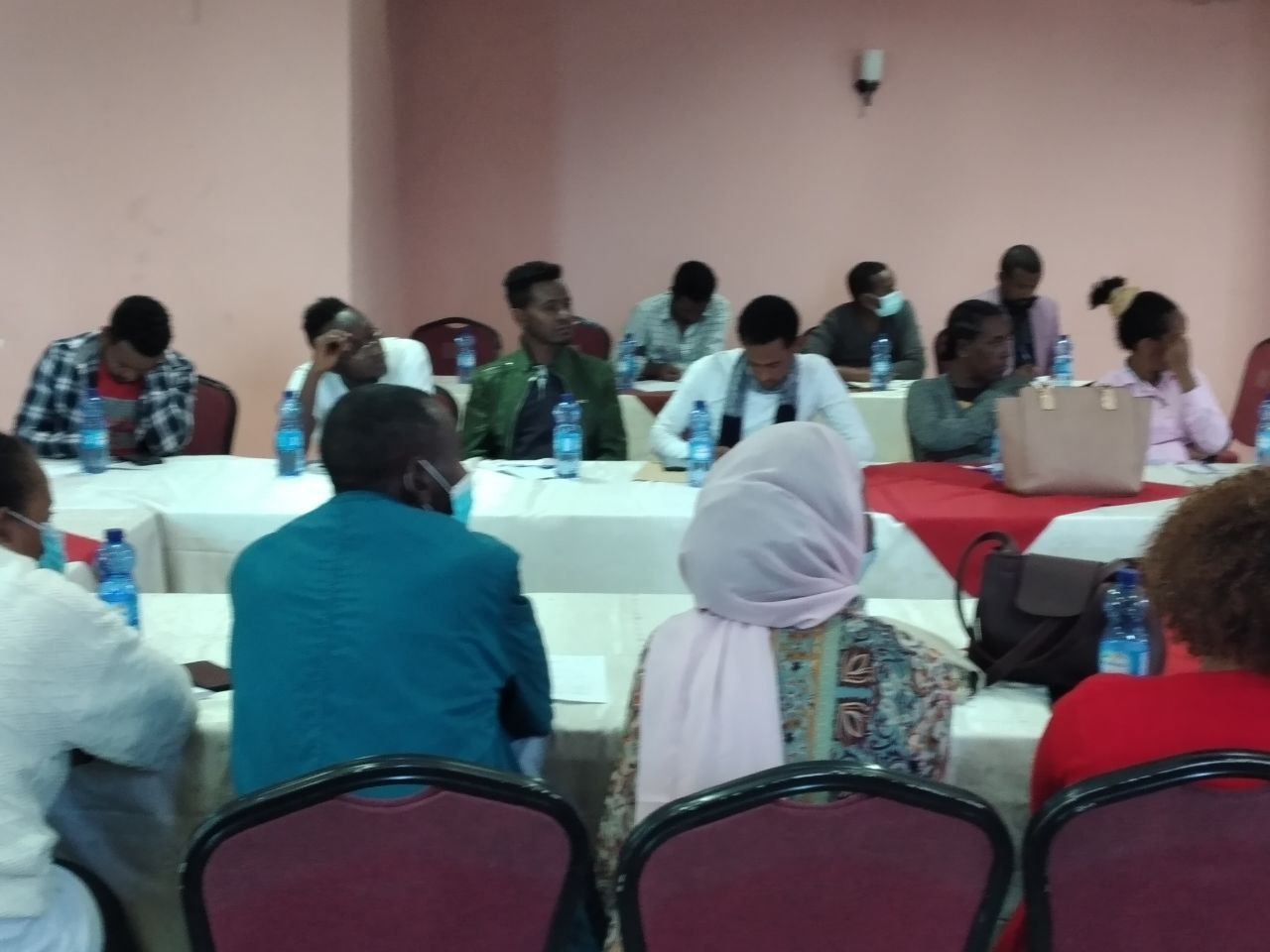 Panel Discussion Highlights Protection and Rights of Female Domestic Workers photo 2