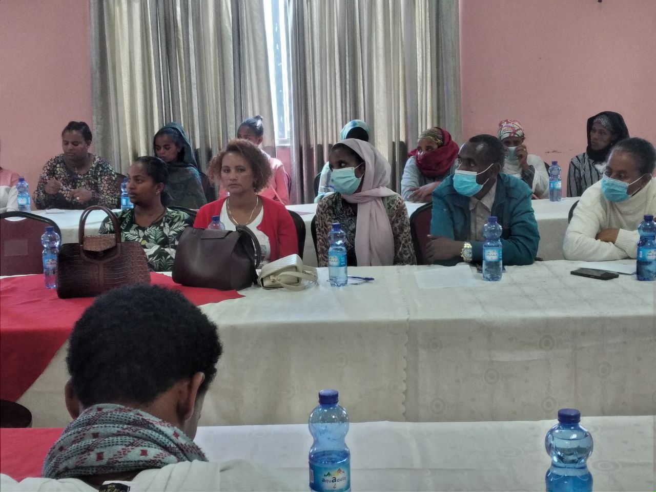 Panel Discussion Highlights Protection and Rights of Female Domestic Workers photo 3