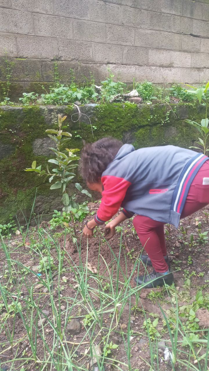 SYGE Tree Planting Campaign Promotes Green Legacy in Schools photo 20