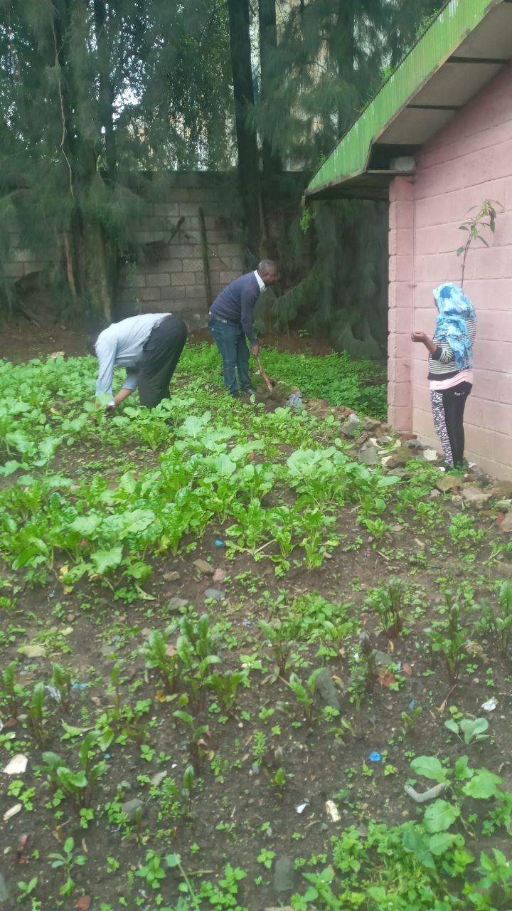SYGE Tree Planting Campaign Promotes Green Legacy in Schools photo 14