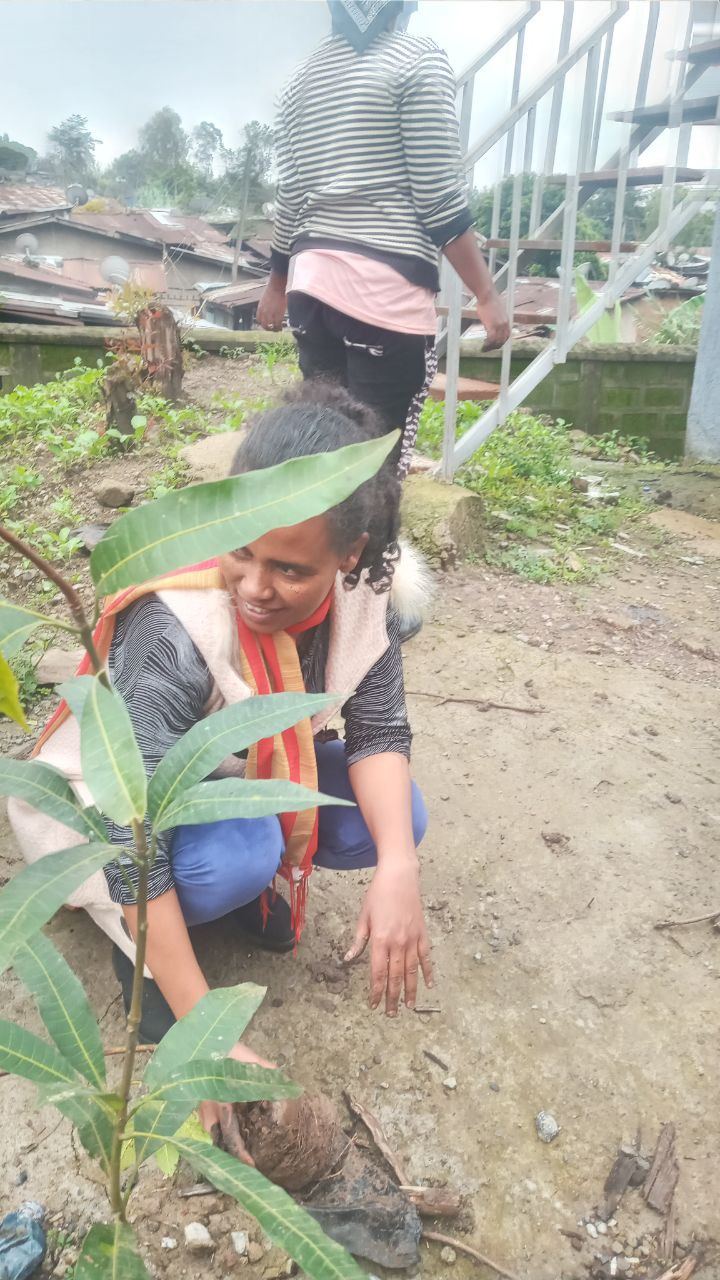 SYGE Tree Planting Campaign Promotes Green Legacy in Schools photo 12