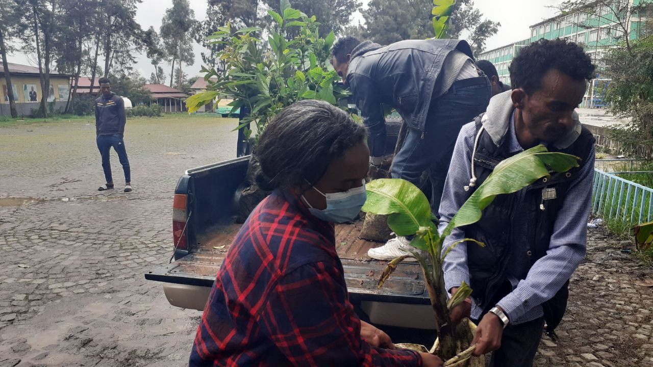 SYGE Tree Planting Campaign Promotes Green Legacy in Schools photo 2