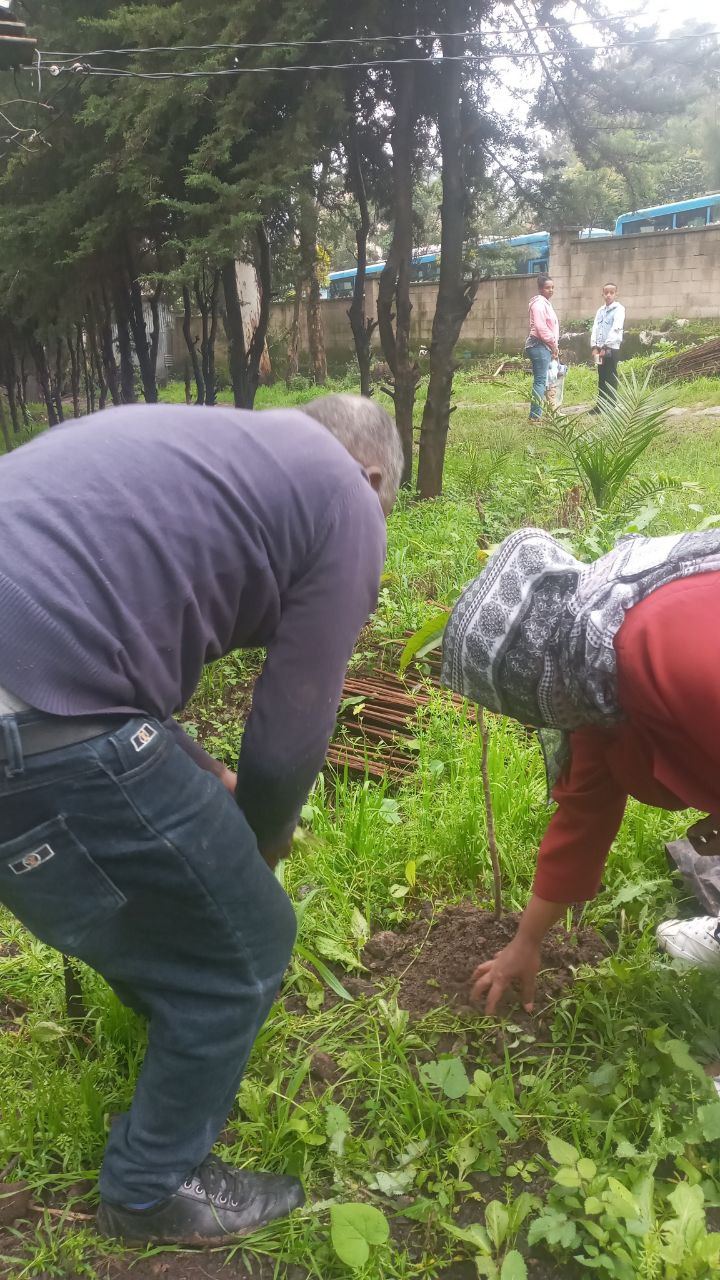SYGE Tree Planting Campaign Promotes Green Legacy in Schools photo 16