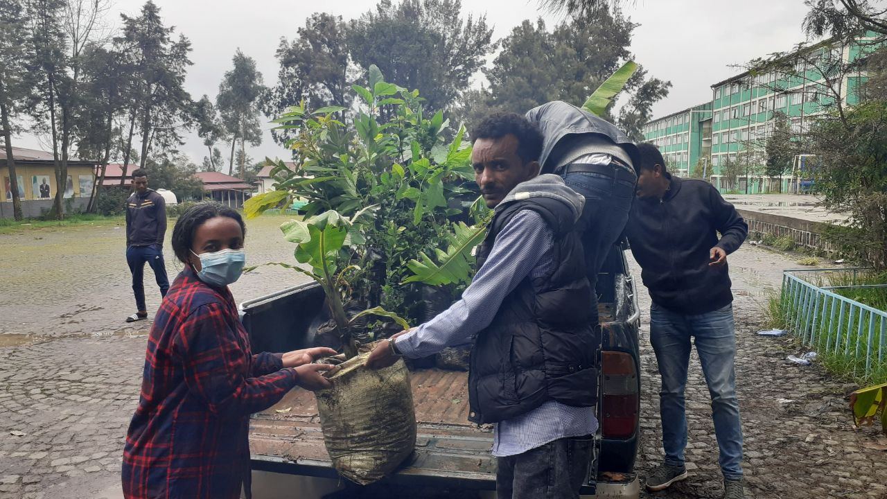 SYGE Tree Planting Campaign Promotes Green Legacy in Schools photo 5