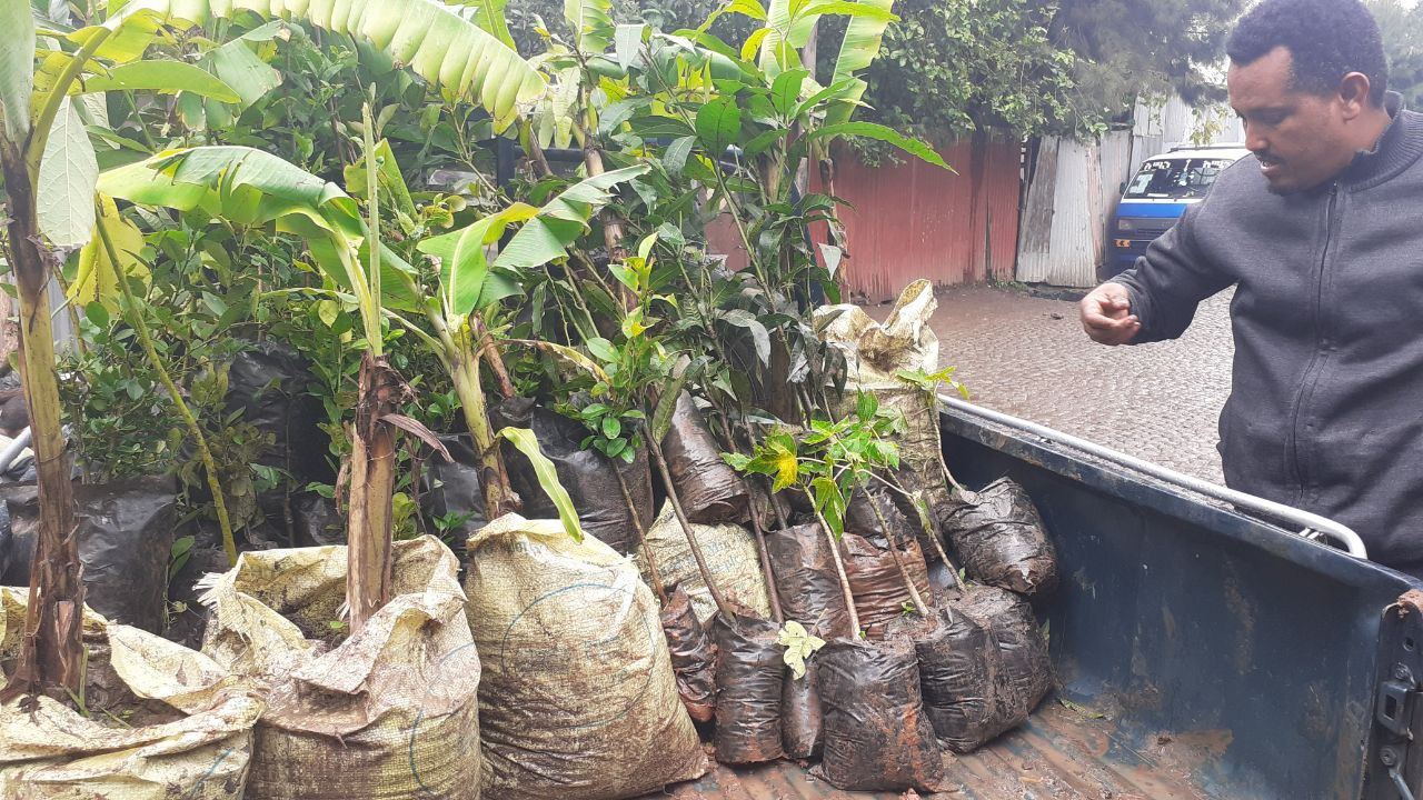 SYGE Tree Planting Campaign Promotes Green Legacy in Schools photo 3