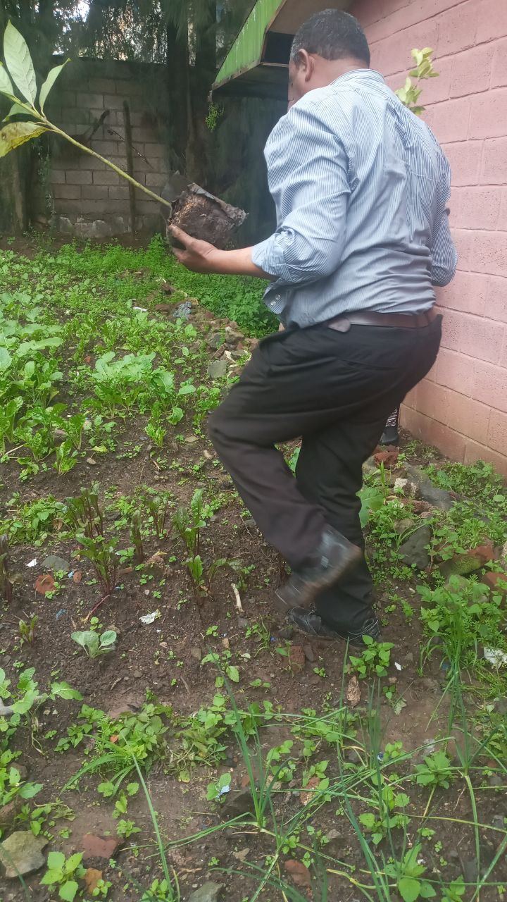 SYGE Tree Planting Campaign Promotes Green Legacy in Schools photo 15