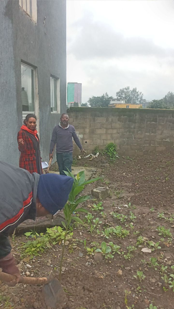 SYGE Tree Planting Campaign Promotes Green Legacy in Schools photo 13