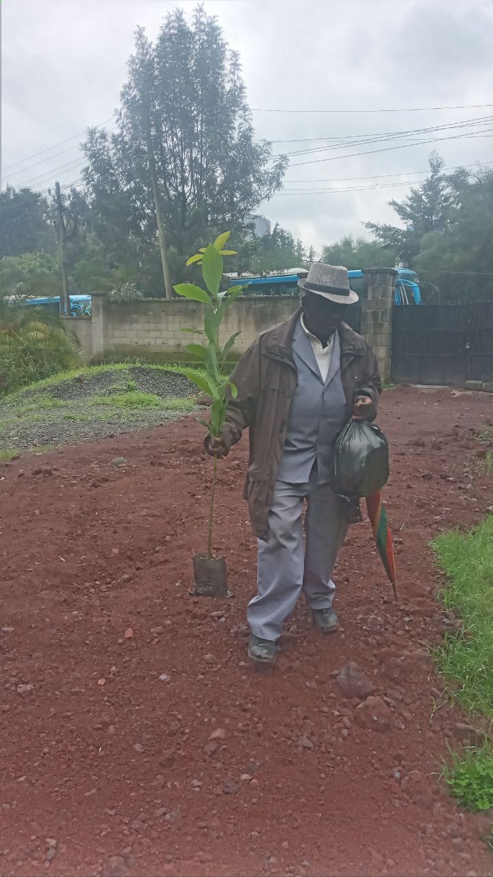 SYGE Tree Planting Campaign Promotes Green Legacy in Schools photo 17