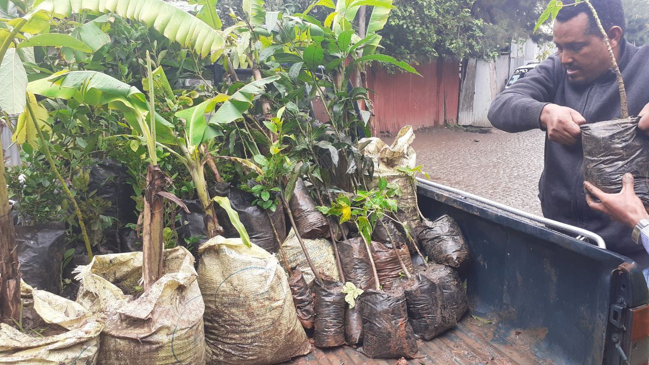 SYGE Tree Planting Campaign Promotes Green Legacy in Schools photo 6