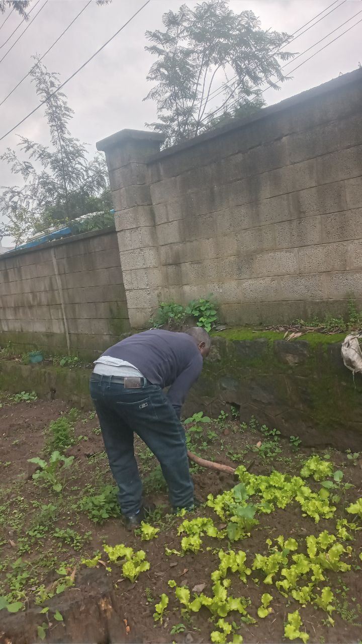 SYGE Tree Planting Campaign Promotes Green Legacy in Schools photo 19