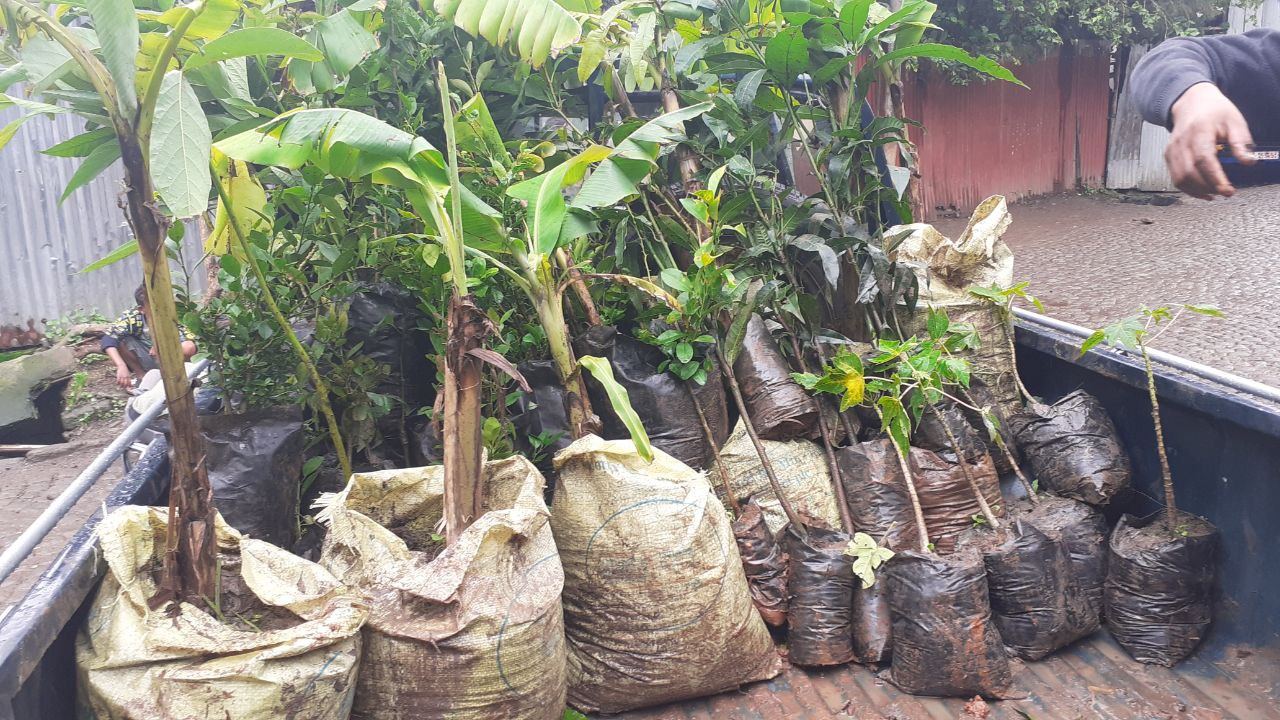 SYGE Tree Planting Campaign Promotes Green Legacy in Schools photo 7