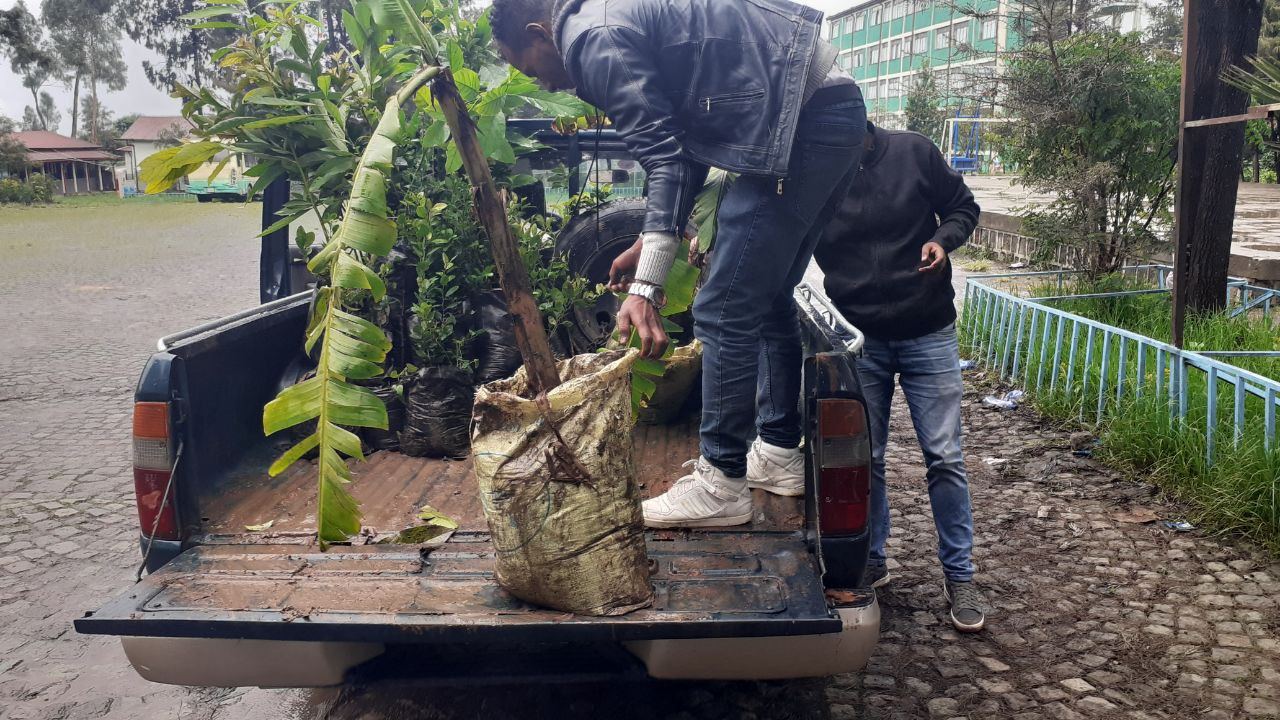 SYGE Tree Planting Campaign Promotes Green Legacy in Schools photo 1