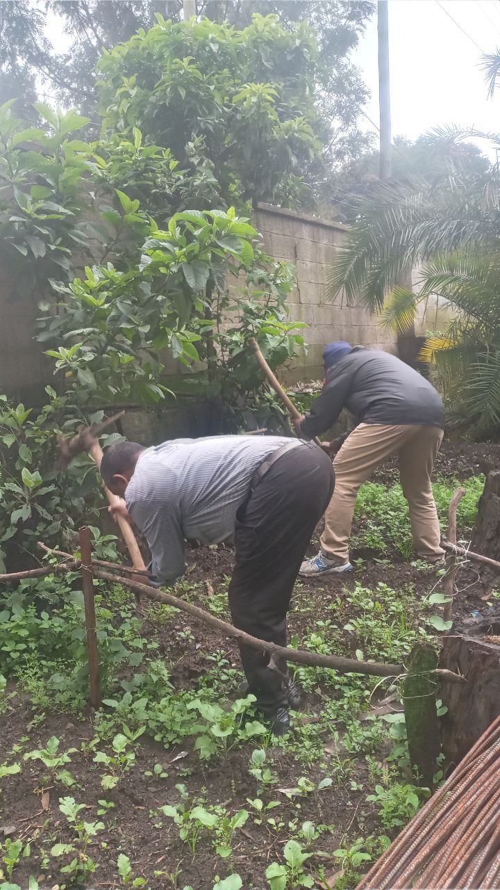 SYGE Tree Planting Campaign Promotes Green Legacy in Schools photo 18