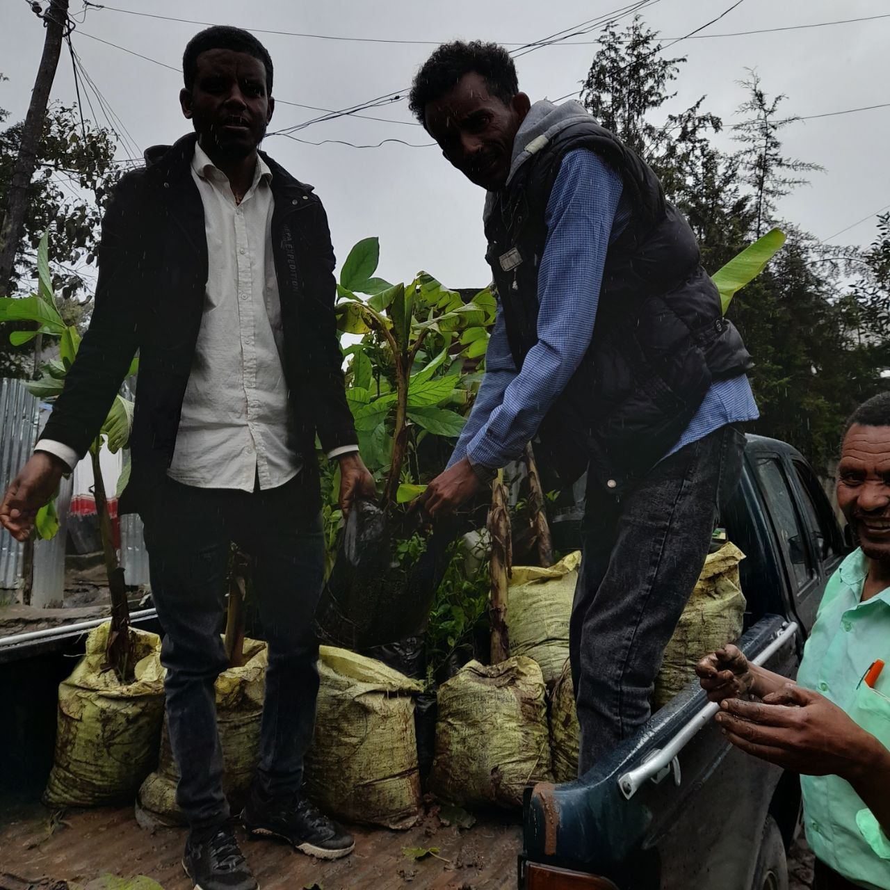 SYGE Tree Planting Campaign Promotes Green Legacy in Schools photo 23