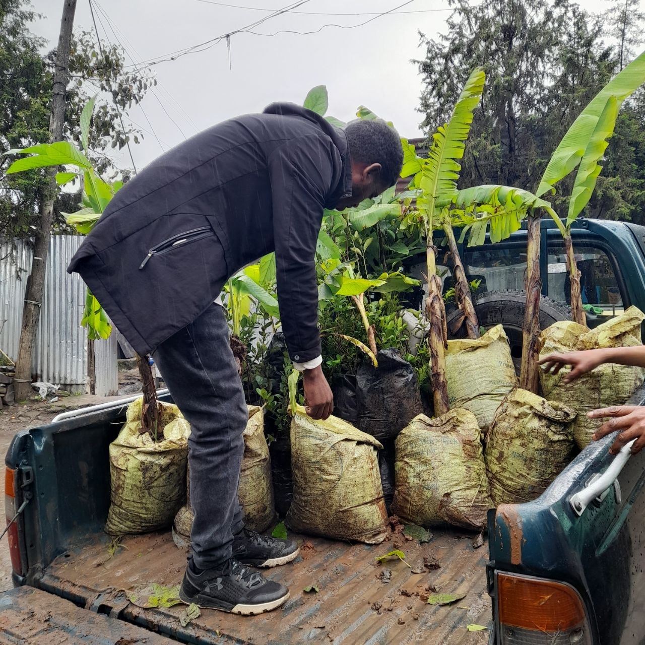 SYGE Tree Planting Campaign Promotes Green Legacy in Schools photo 26