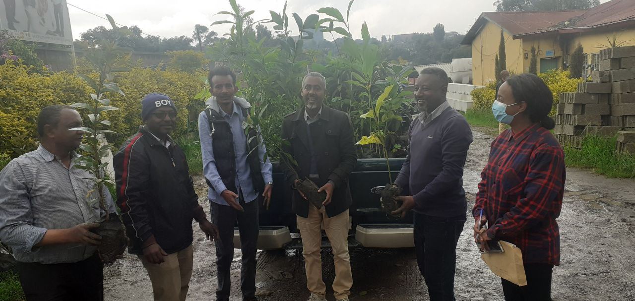 SYGE Tree Planting Campaign Promotes Green Legacy in Schools photo 36