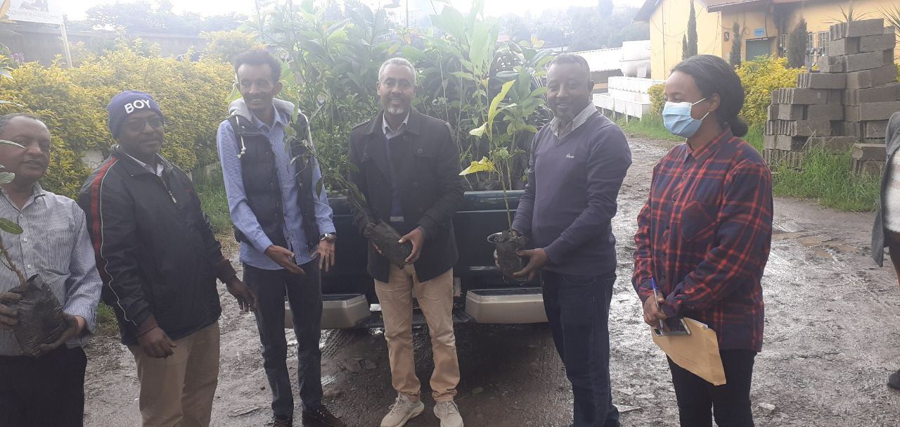 SYGE Tree Planting Campaign Promotes Green Legacy in Schools photo 34