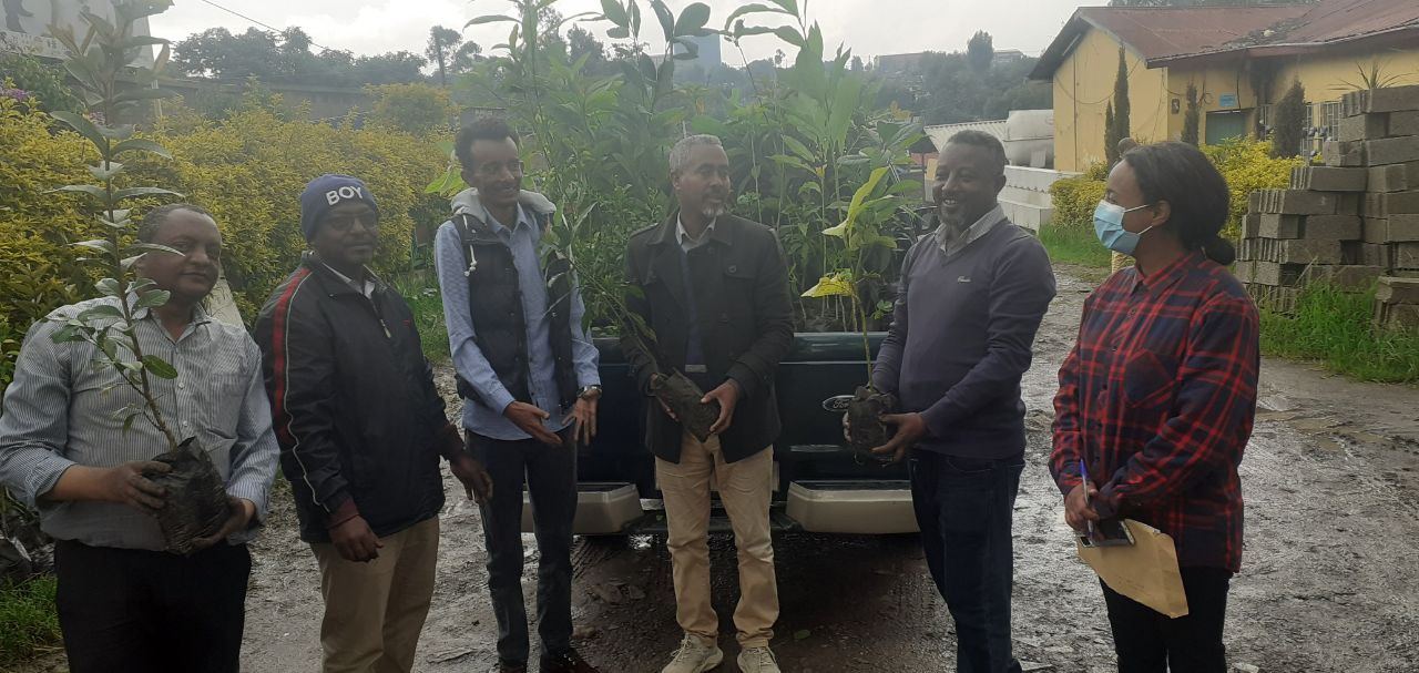 SYGE Tree Planting Campaign Promotes Green Legacy in Schools