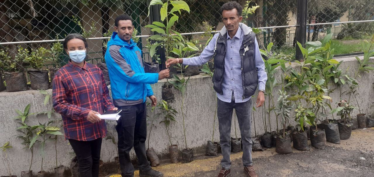 SYGE Tree Planting Campaign Promotes Green Legacy in Schools photo 31