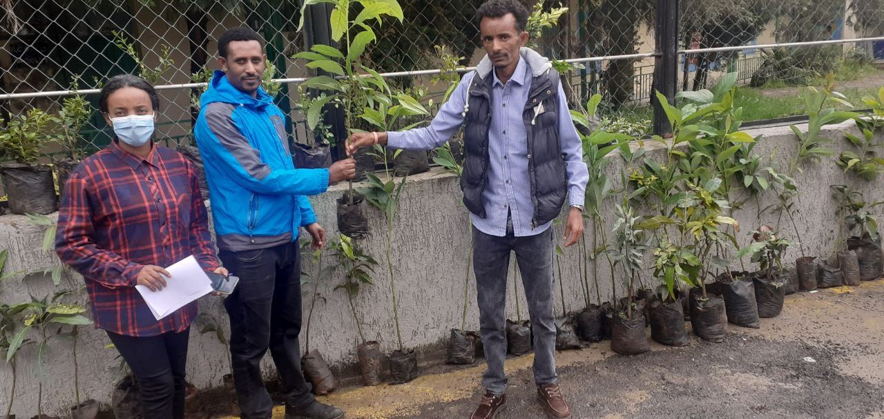 SYGE Tree Planting Campaign Promotes Green Legacy in Schools photo 29