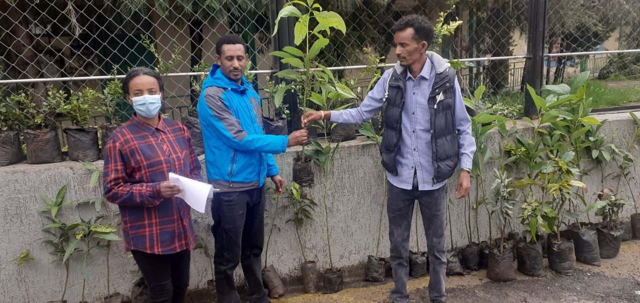 SYGE Tree Planting Campaign Promotes Green Legacy in Schools photo 30