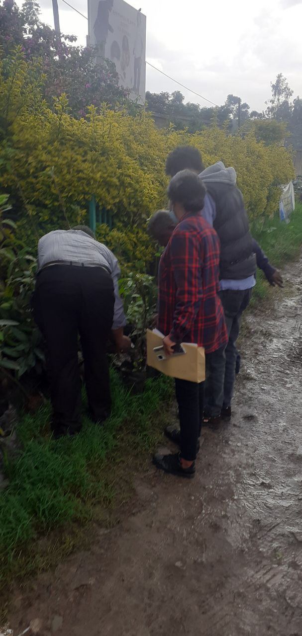 SYGE Tree Planting Campaign Promotes Green Legacy in Schools photo 42