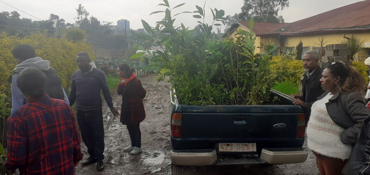 SYGE Tree Planting Campaign Promotes Green Legacy in Schools photo 39