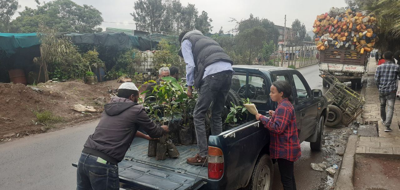 SYGE Tree Planting Campaign Promotes Green Legacy in Schools photo 49