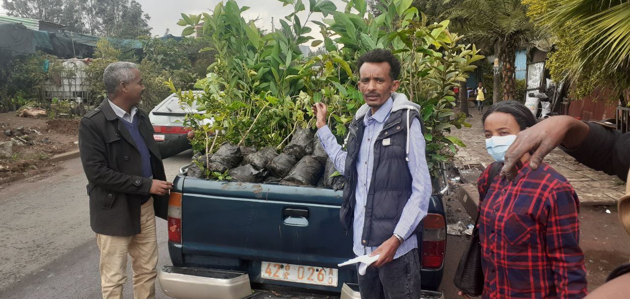 SYGE Tree Planting Campaign Promotes Green Legacy in Schools photo 44