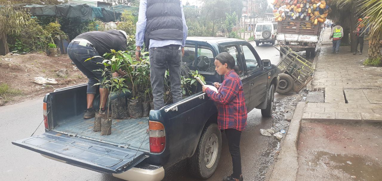 SYGE Tree Planting Campaign Promotes Green Legacy in Schools photo 48
