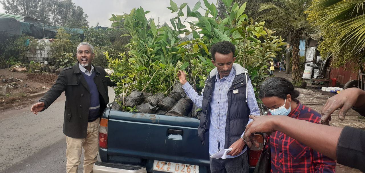 SYGE Tree Planting Campaign Promotes Green Legacy in Schools photo 43