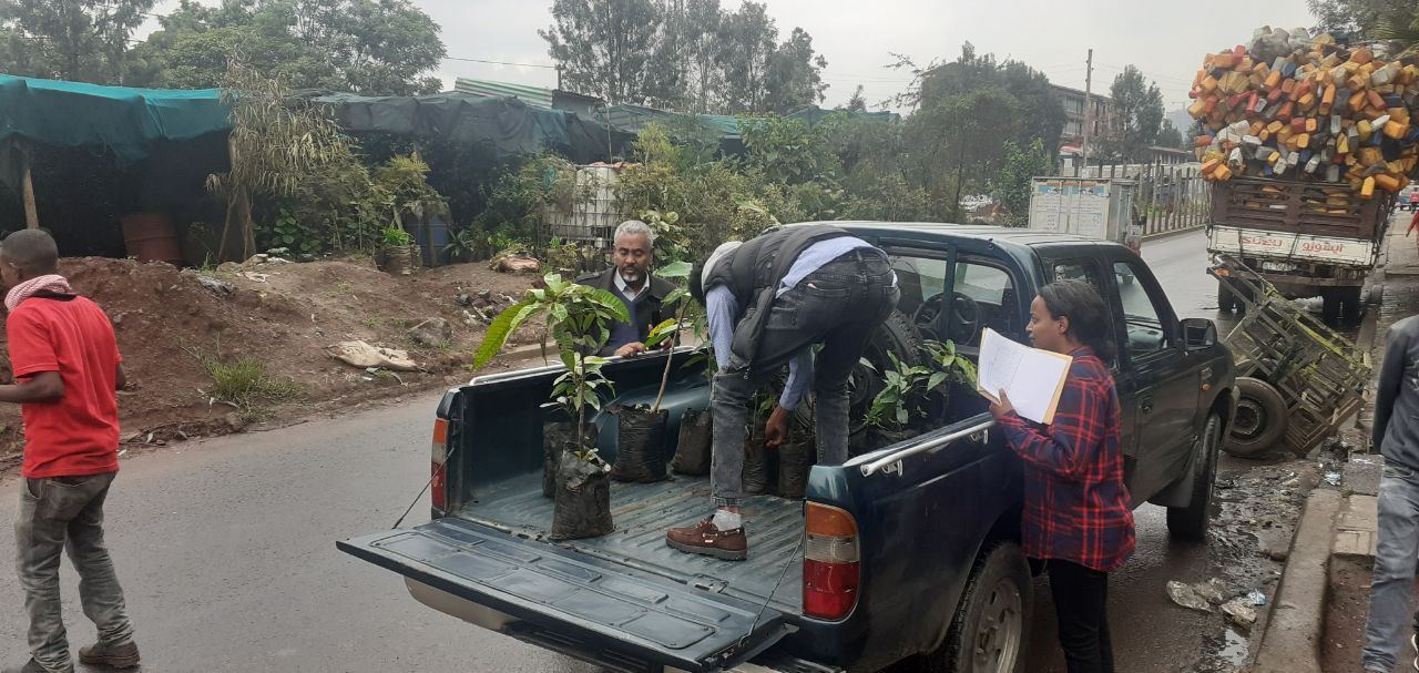 SYGE Tree Planting Campaign Promotes Green Legacy in Schools photo 50