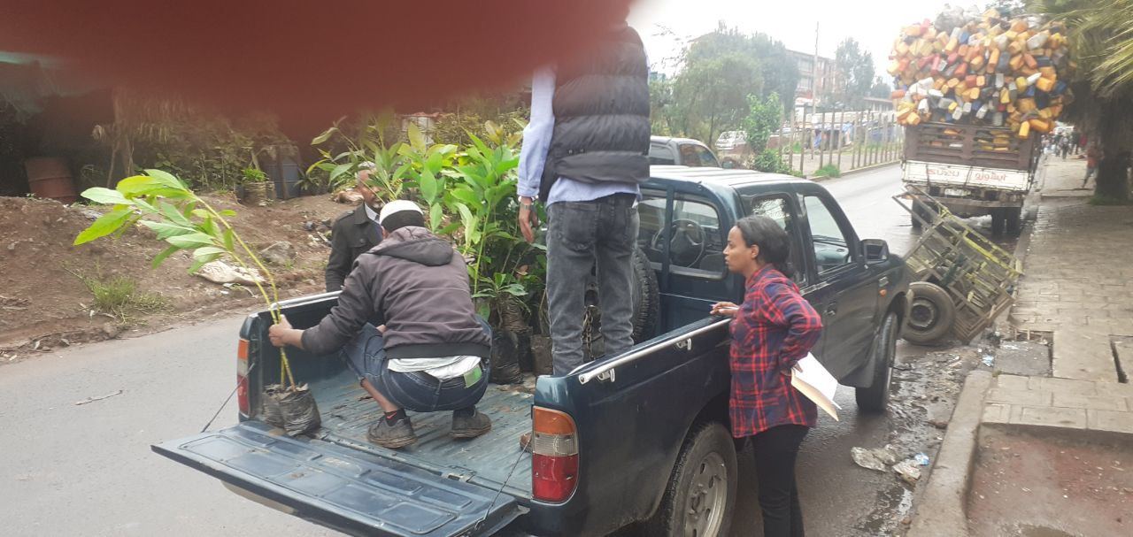 SYGE Tree Planting Campaign Promotes Green Legacy in Schools photo 46