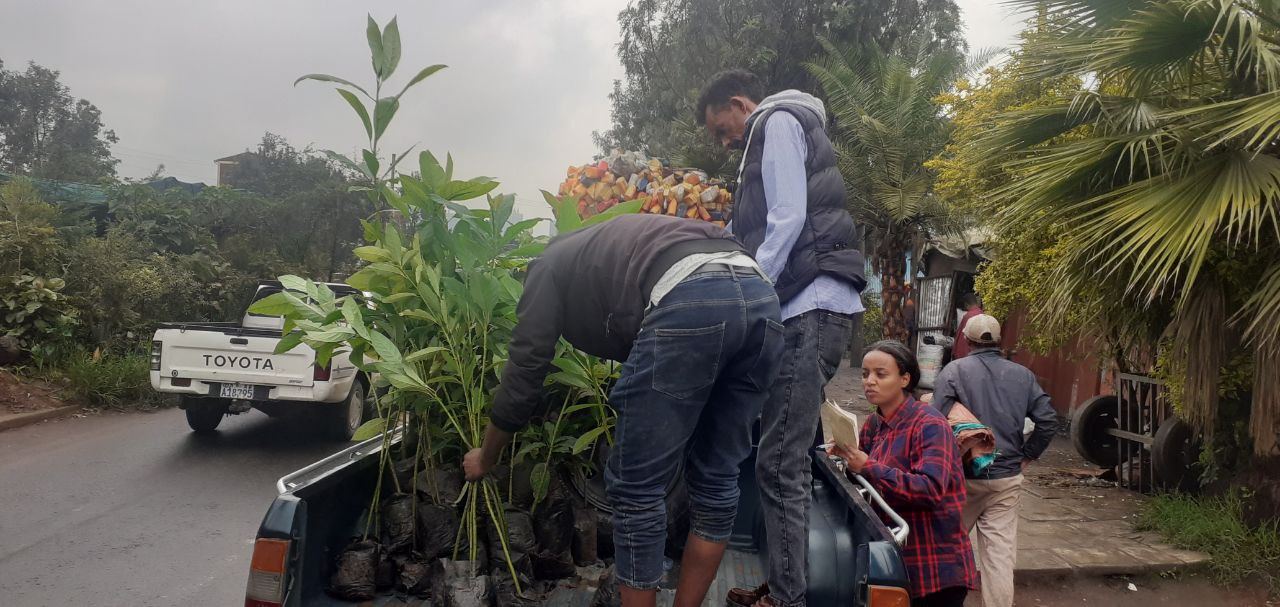 SYGE Tree Planting Campaign Promotes Green Legacy in Schools photo 45