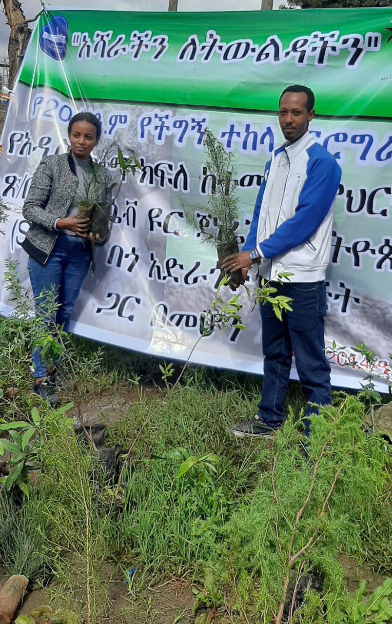 SYGE Tree Planting Campaign Promotes Green Legacy in Schools photo 52