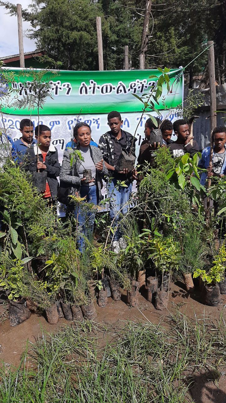 SYGE Tree Planting Campaign Promotes Green Legacy in Schools photo 55