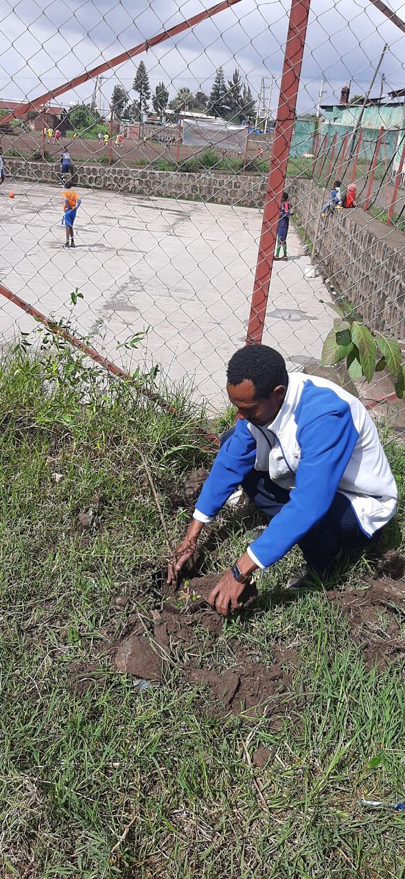 SYGE Tree Planting Campaign Promotes Green Legacy in Schools photo 54