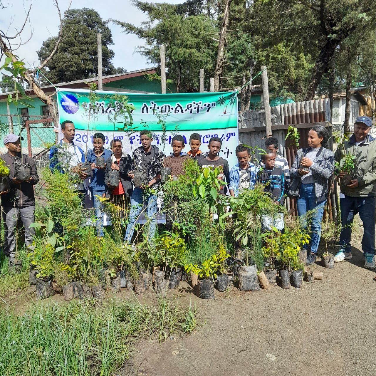SYGE Tree Planting Campaign Promotes Green Legacy in Schools photo 57