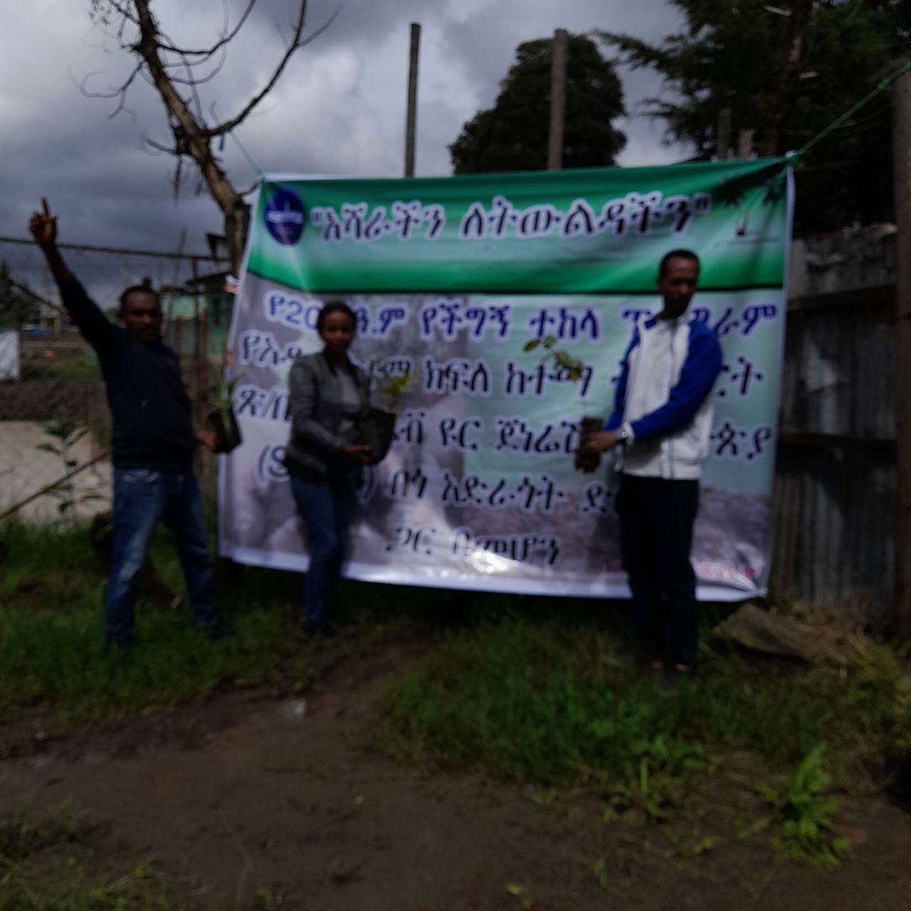 SYGE Tree Planting Campaign Promotes Green Legacy in Schools photo 63