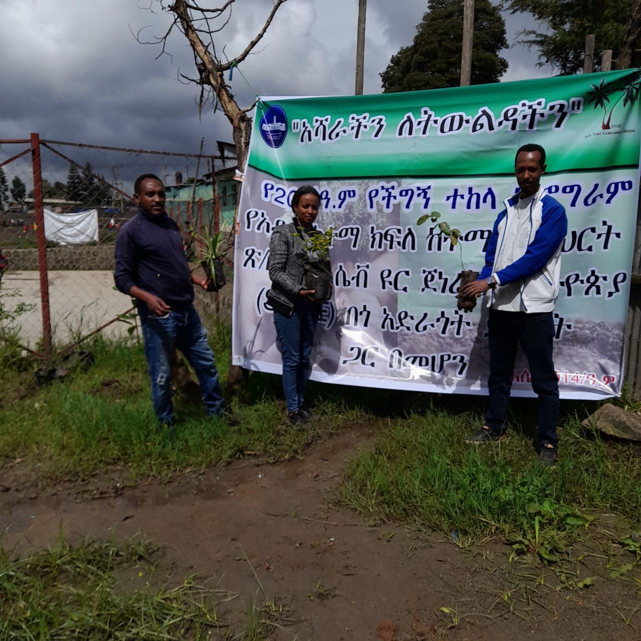 SYGE Tree Planting Campaign Promotes Green Legacy in Schools photo 60