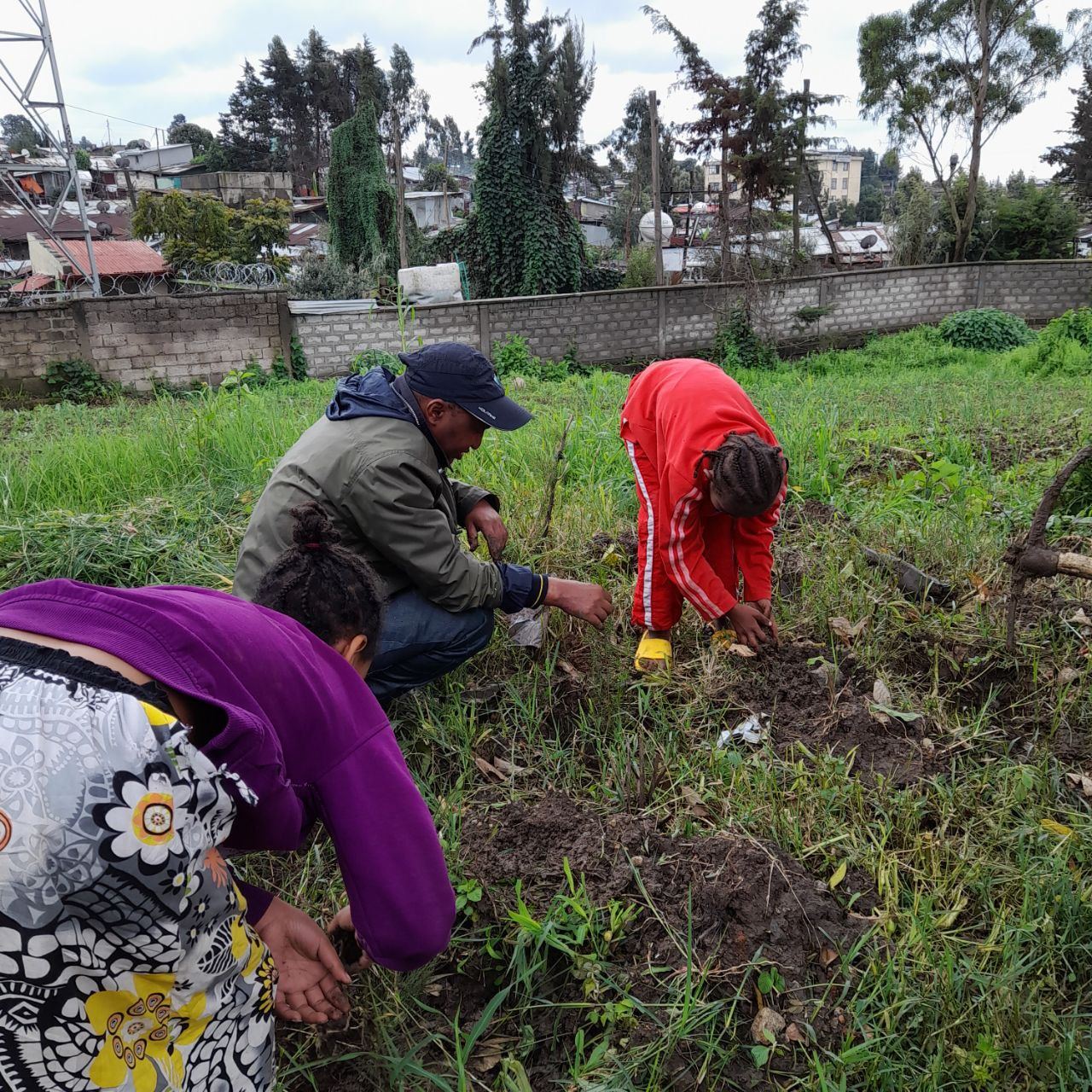 SYGE Tree Planting Campaign Promotes Green Legacy in Schools photo 65