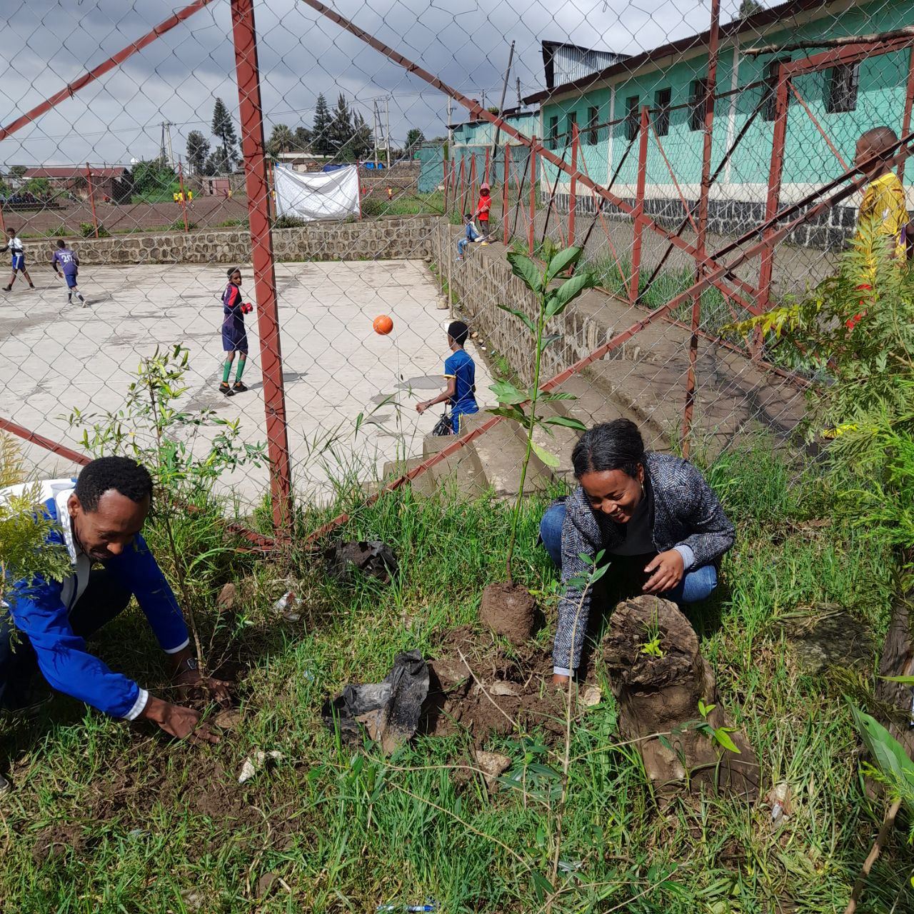 SYGE Tree Planting Campaign Promotes Green Legacy in Schools photo 66