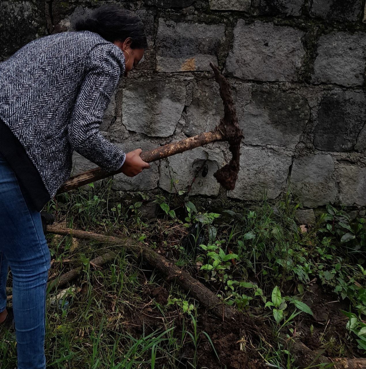 SYGE Tree Planting Campaign Promotes Green Legacy in Schools photo 67