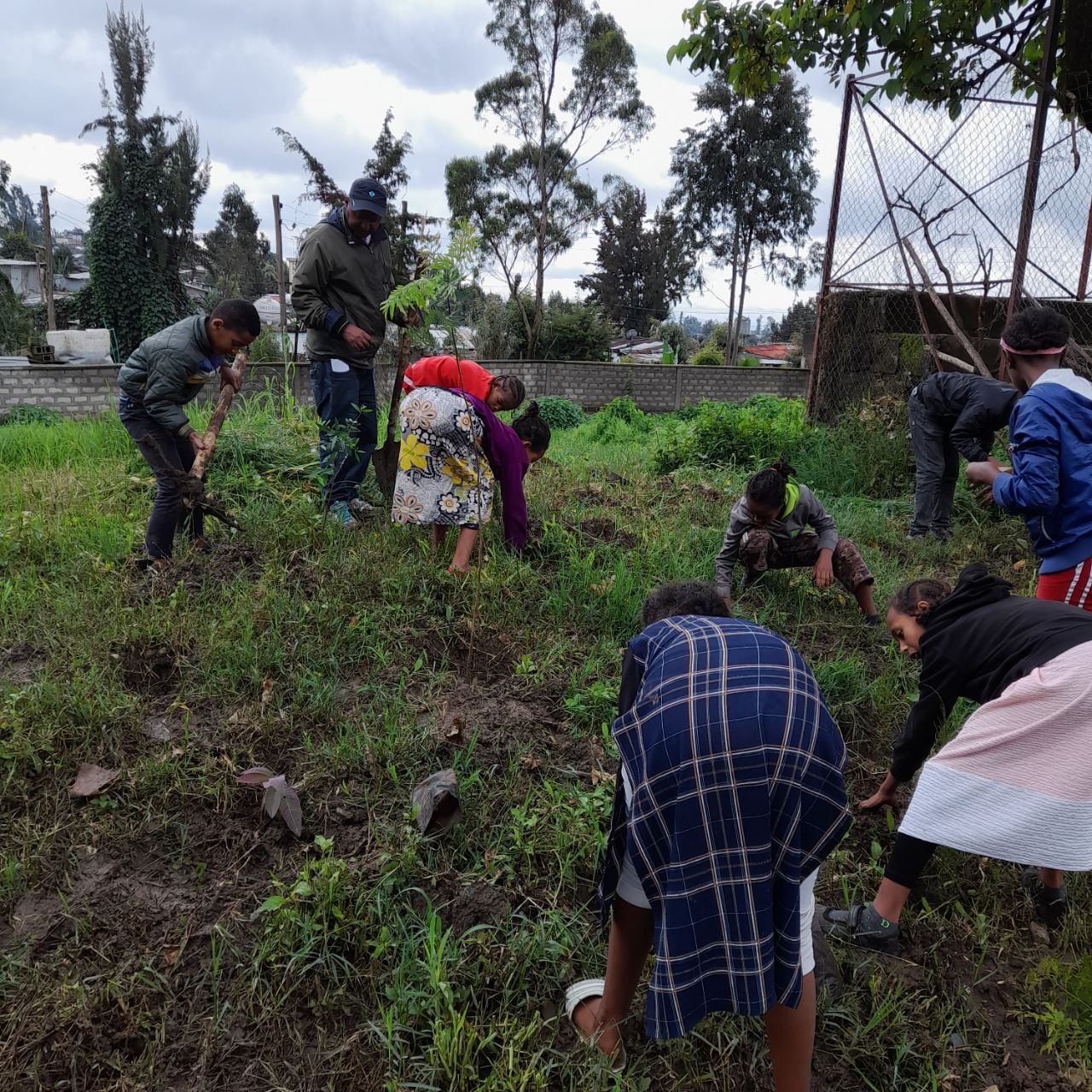 SYGE Tree Planting Campaign Promotes Green Legacy in Schools photo 68